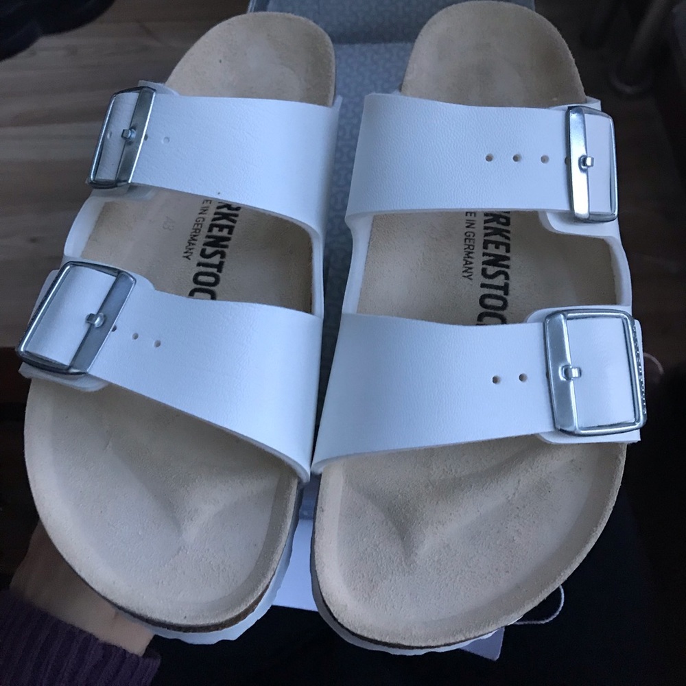 RARE COLOR BIRKS
